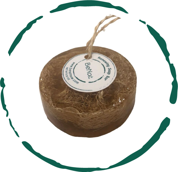 Nature's Embrace Soap Bar